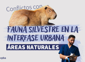 Conflictos con Fauna Silvestre en la Interfase Urbana- Áreas Naturales