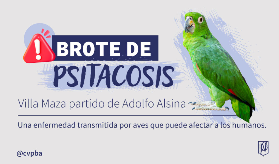 INFORMATIVO psitacosis-07