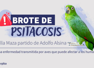 Brote de Psitacosis en Villa Maza: Alerta Sanitaria