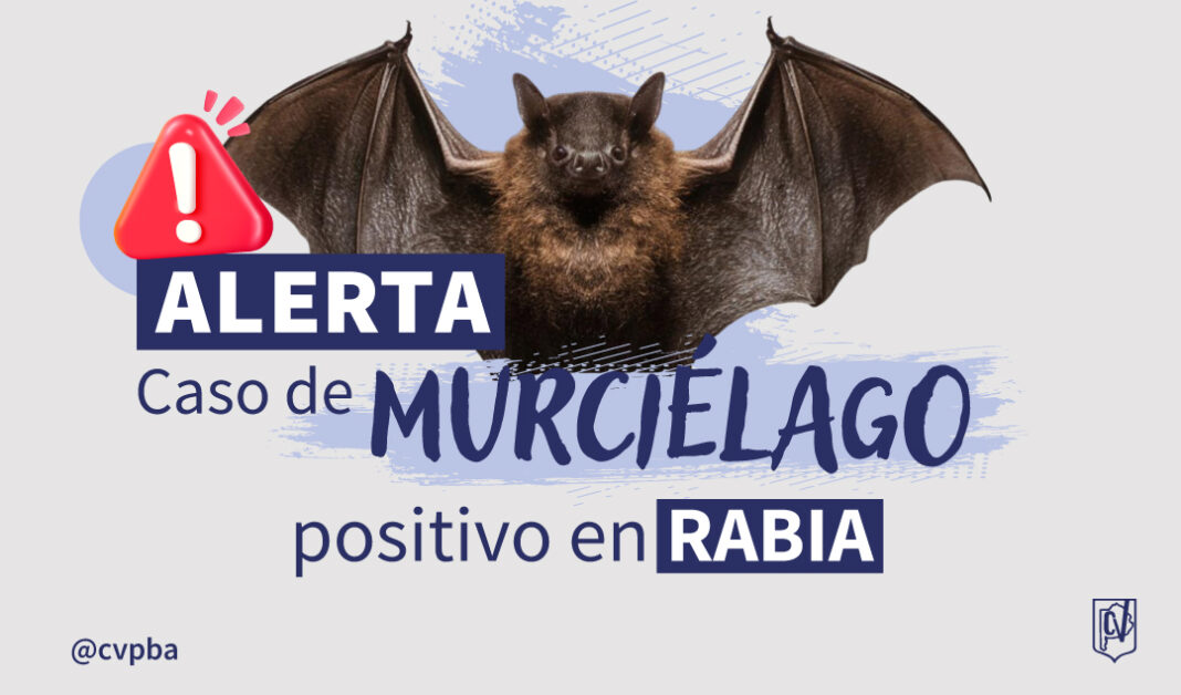 INFORMATIVO murciélago-03