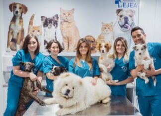 Abril 2025 – Celebramos la vocación y la conexión con los animales