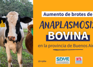 Aumento de brotes de anaplasmosis bovina en la provincia de Buenos Aires: análisis retrospectivo de 12 casos