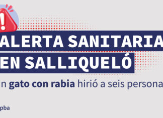 Caso de rabia felina en Salliqueló: seis personas afectadas y operativo preventivo en marcha