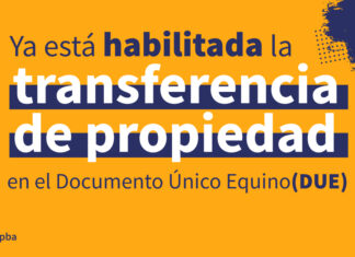 Documento Único Equino (DUE): ya está habilitada la transferencia de propiedad
