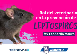 Rol del veterinario en la prevencion de la Leptospirosis