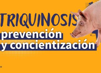 Triquinosis: una enfermedad vigente que se puede prevenir teniendo un consumo consciente