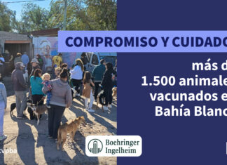 Compromiso y cuidado: más de 1.500 animales vacunados en Bahía Blanca