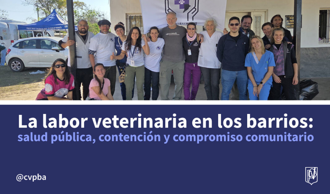 vete web-04