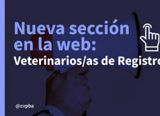 Nueva sección informativa en nuestra web