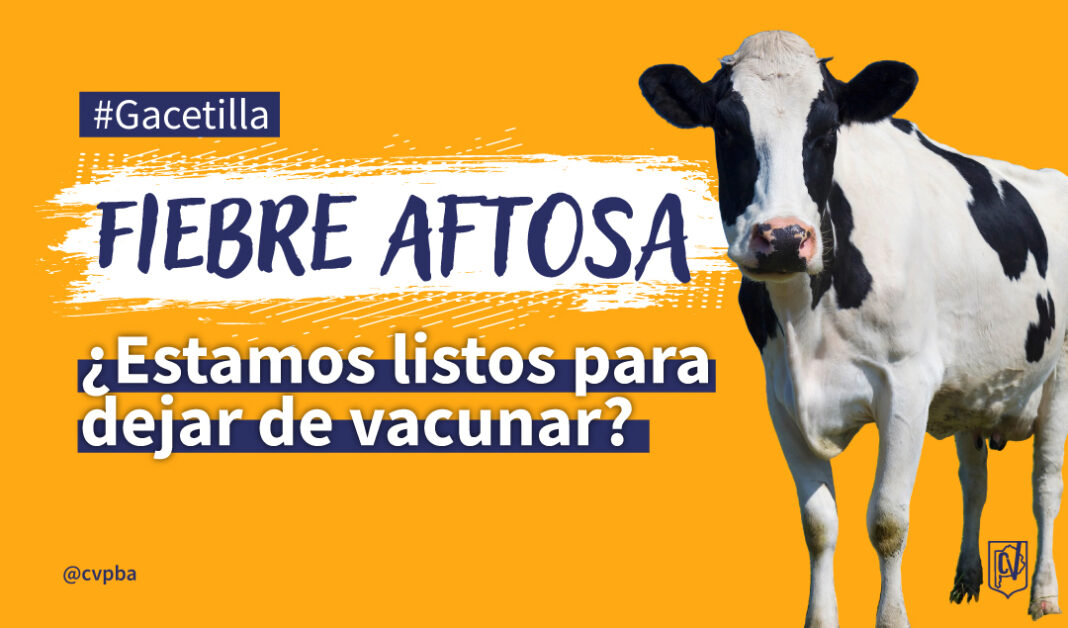 GRANDES ANIMALES FIEBRE AFTOSA-03