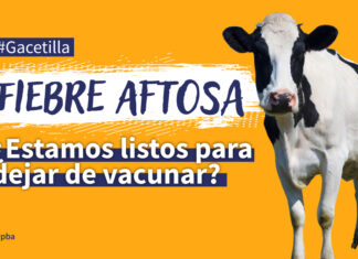 Fiebre Aftosa: ¿Estamos listos para dejar de vacunar?