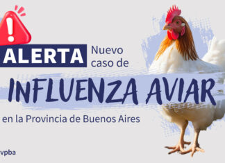 Caso positivo de Influenza Aviar en la localidad de Arrecifes, provincia de Buenos Aires