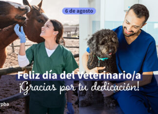 6 de agosto: Día del Veterinario/a