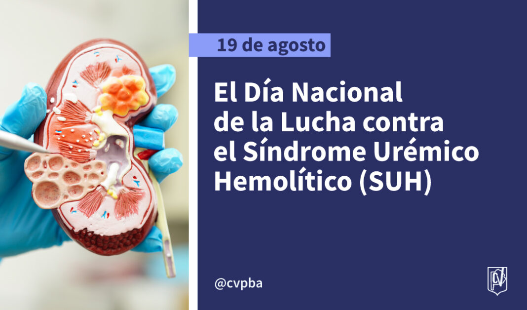 uremico web-03