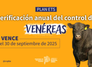 El control de venéreas: clave para la sanidad bovina en la Provincia