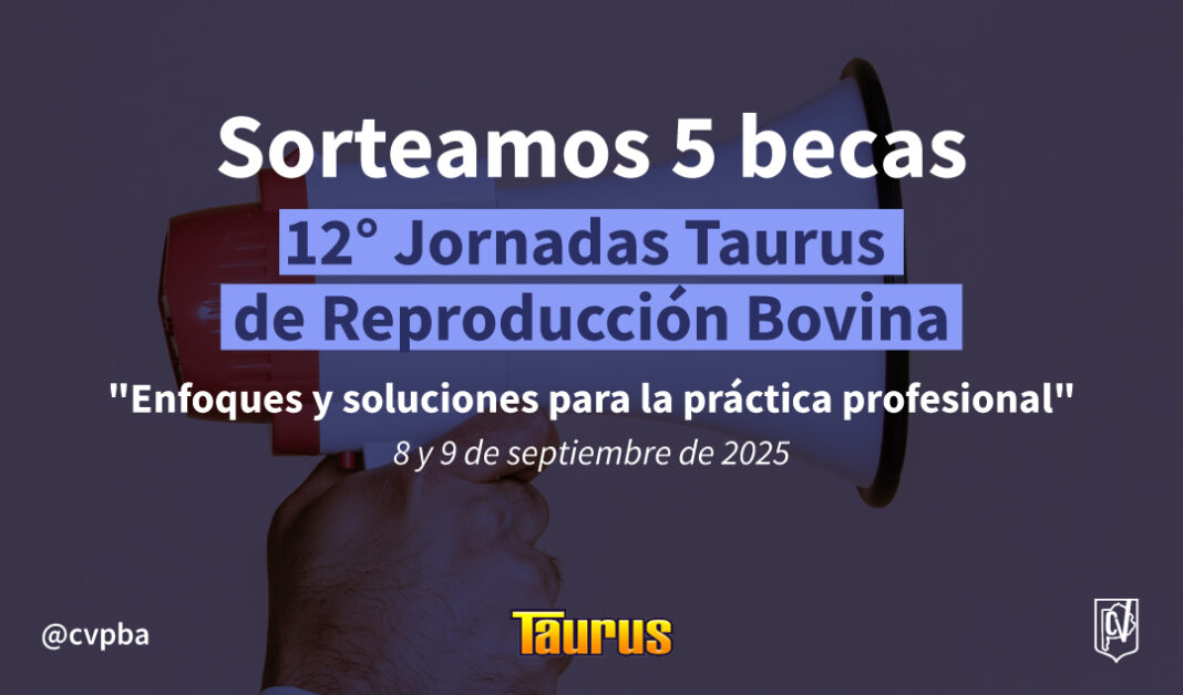 taurus web-02