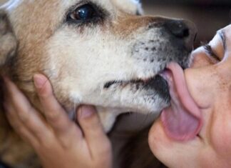 Hidatidosis | Vínculo responsable: cómo prevenir infecciones transmitidas por animales de compañía
