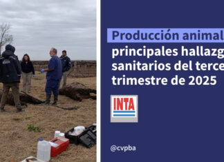 Principales hallazgos sanitarios del tercer trimestre de 2025