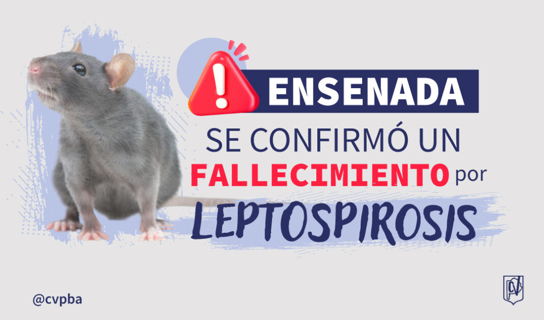 INFORMATIVO leptospirosis-03