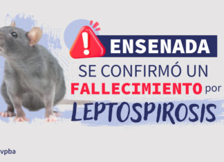 Aumentan los casos de leptospirosis: refuerzan las medidas de prevención