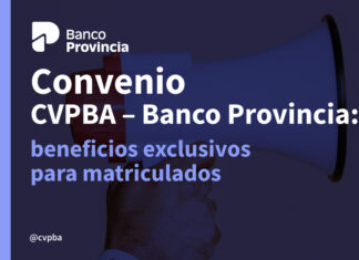 Banco Provincia: beneficios exclusivos para matriculados