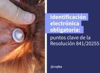 Identificación electrónica obligatoria: puntos clave de la Resolución 841/20255