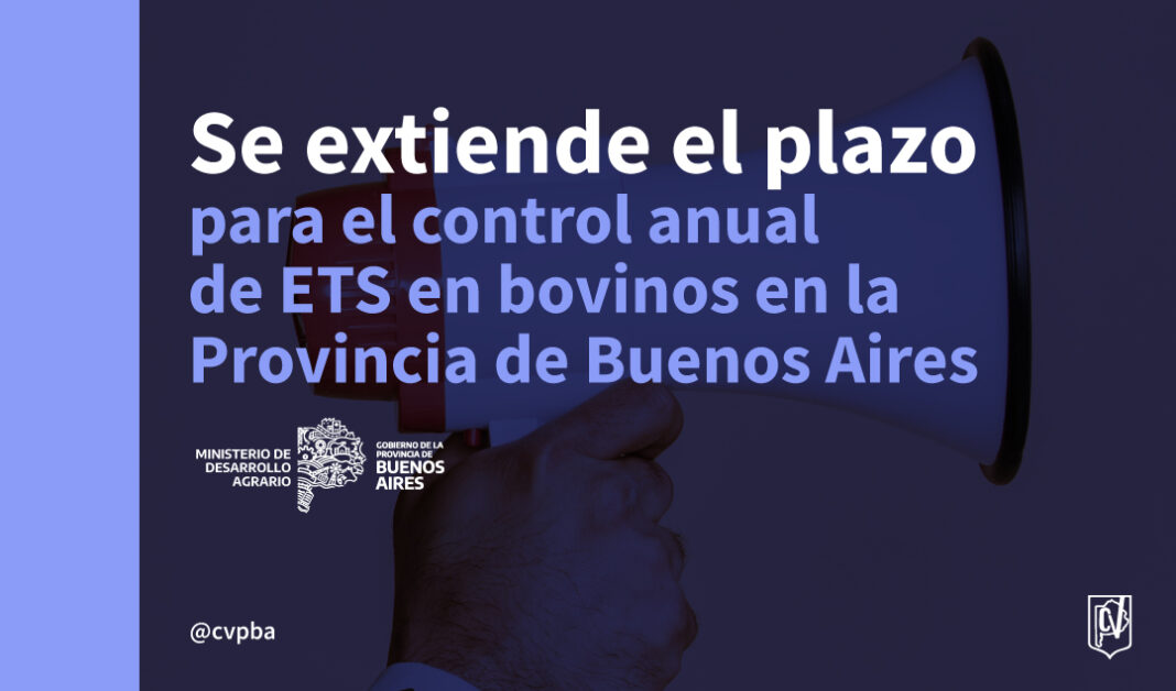 plazo-02
