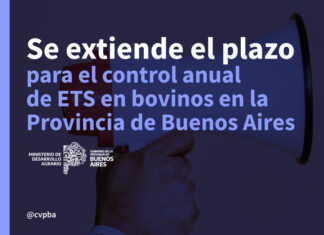 Se extiende el plazo para el control anual de ETS en bovinos en la Provincia de Buenos Aires