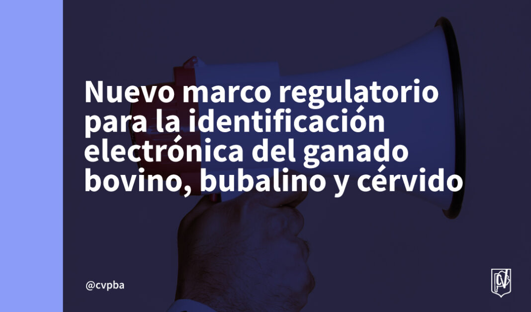 web-02 (1)