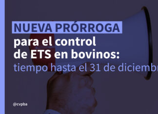 Se extiende hasta el 31 de diciembre el plazo obligatorio para el control de ETS en bovinos