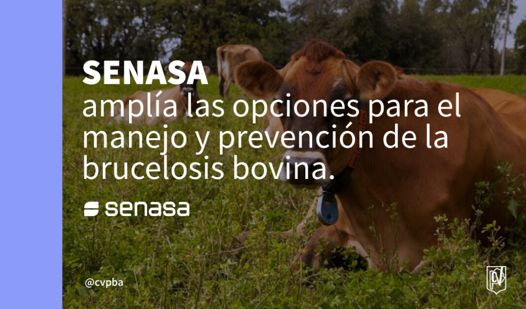 senasa s
