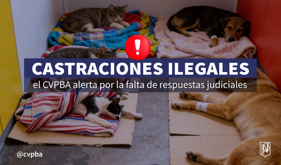 alerta