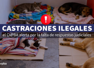 Castraciones ilegales: alerta por la falta de respuestas judiciales