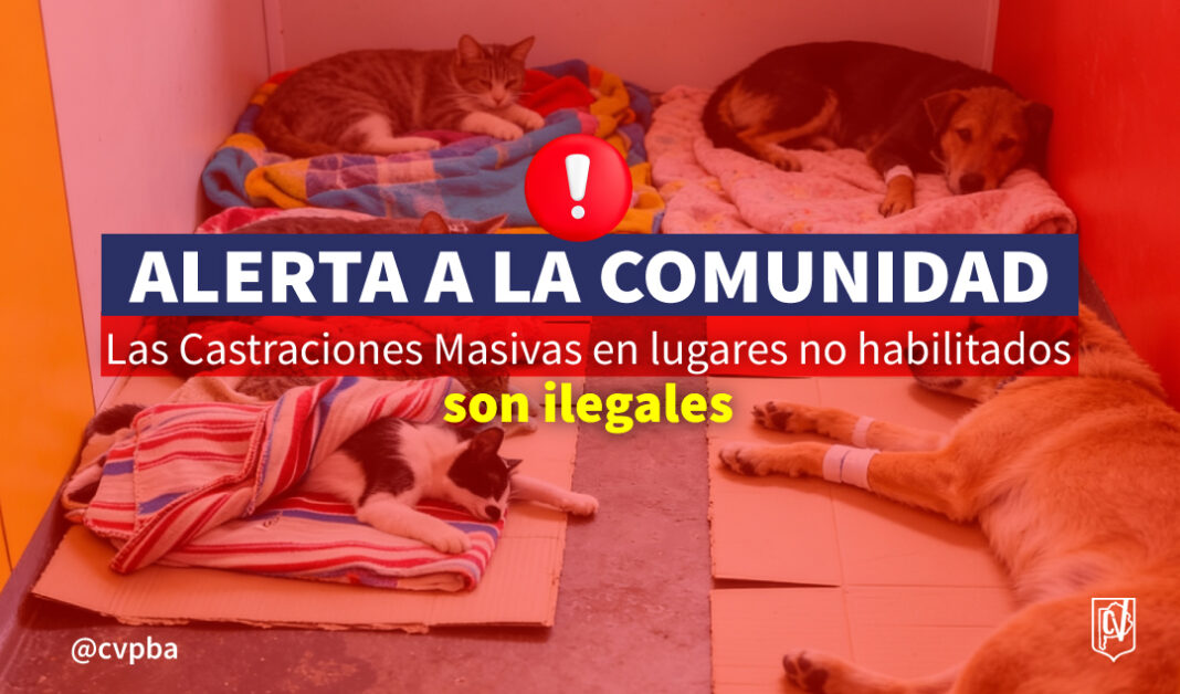 alerta castraciones-03
