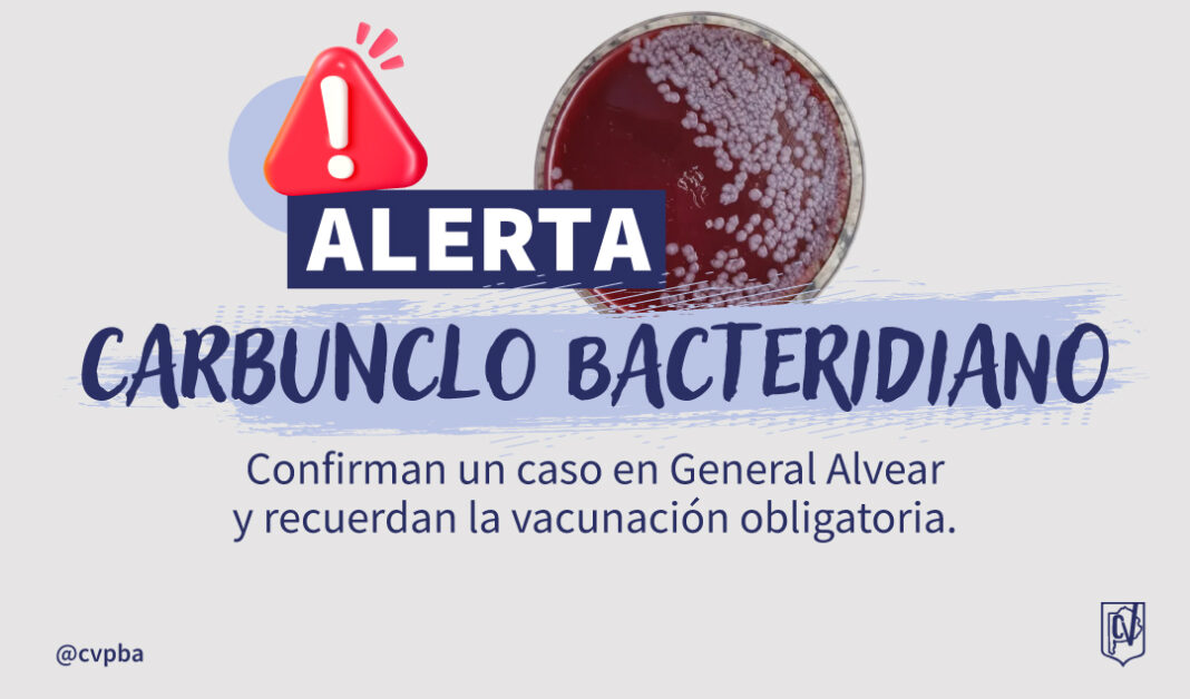 INFORMATIVO carbunclo (1)