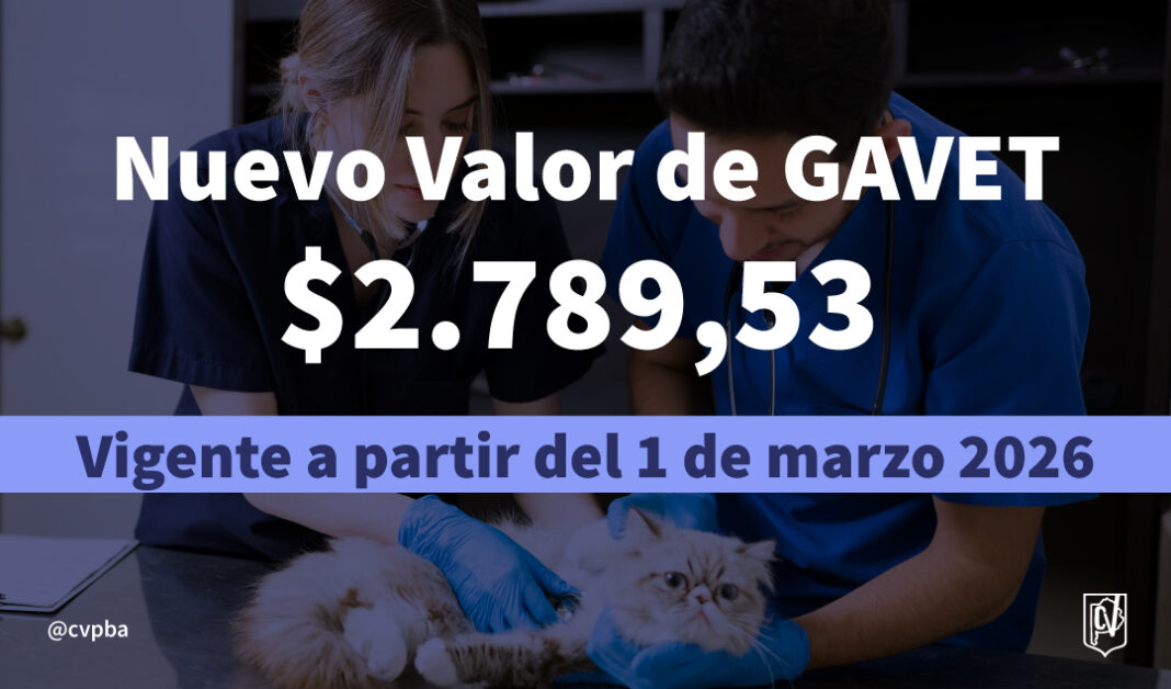 VALOR GAVET-01
