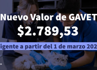 Actualización de GAVET