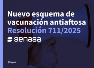 Actualización de la estrategia de vacunación y movimientos de bovinos