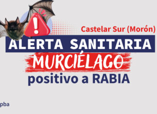 Murciélago positivo a rabia en Castelar: refuerzan medidas de prevención y control