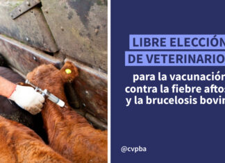 Vacunación sanitaria: el SENASA actualiza el régimen para fiebre aftosa y brucelosis bovina