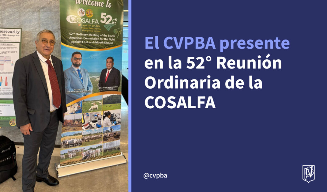 cosalfa-05
