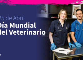 La Profesión Veterinaria – Pilar Fundamental de la Salud Pública