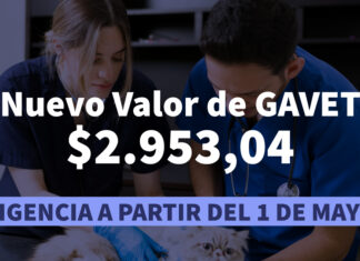Actualización de GAVET