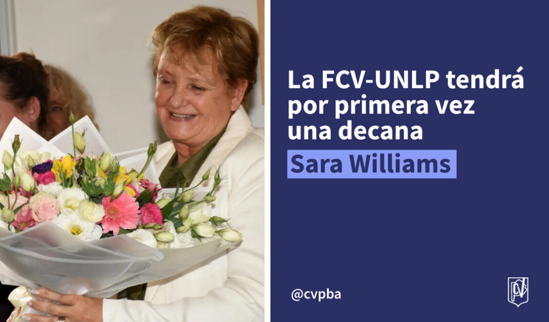 sara web