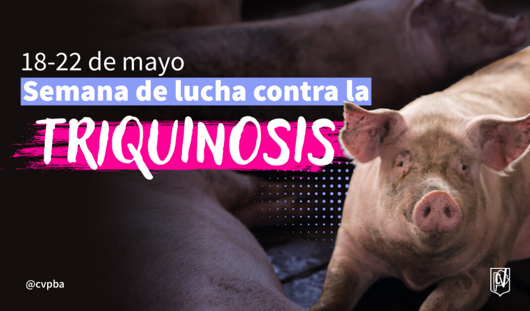 CARRUSEL triquinosis
