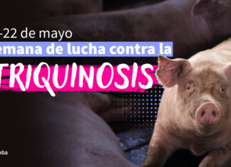 Semana de la Triquinosis: alertan sobre los riesgos del consumo de carne sin control sanitario y la importancia del registro oficial