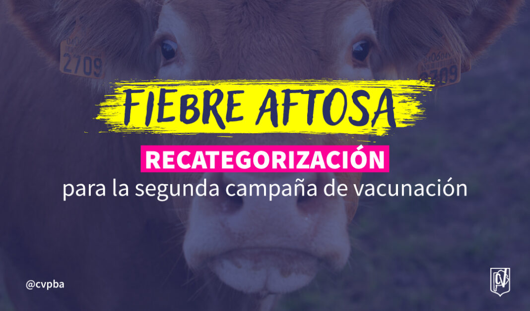 fiebre aftosa-06