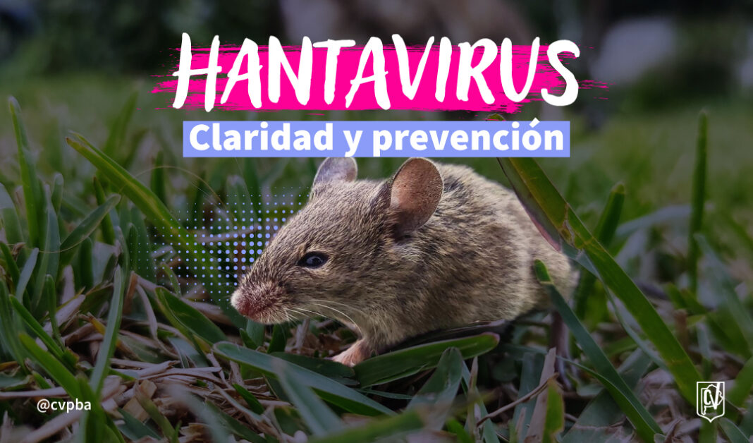 web hantavirus