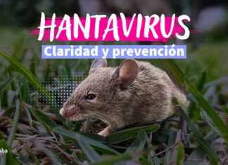 Hantavirus: Claridad y prevención para proteger a la familia y a sus animales de compañía