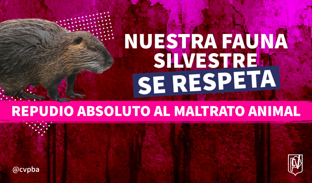 REPUDIO (1)